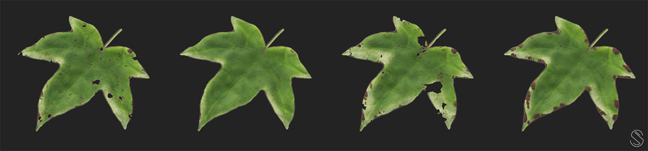 I got inspired and did some procedural leaf generator!