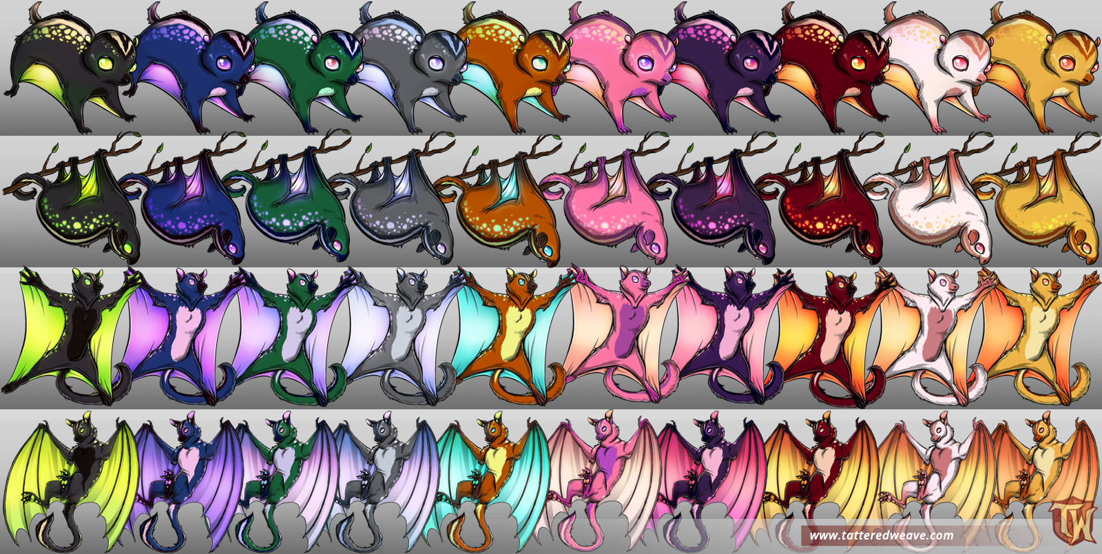 Kith Color Variant Stages