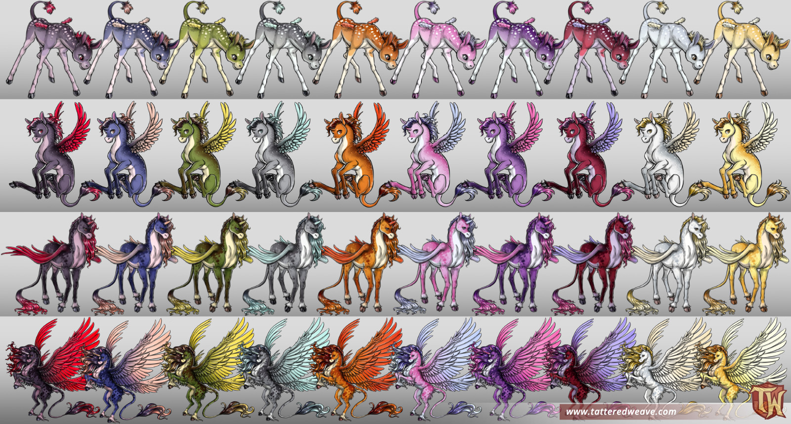 Kith Color Variant Stages