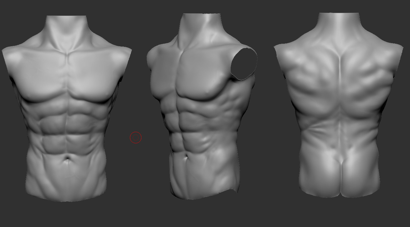 Tomas Sosto male chest anatomy practice