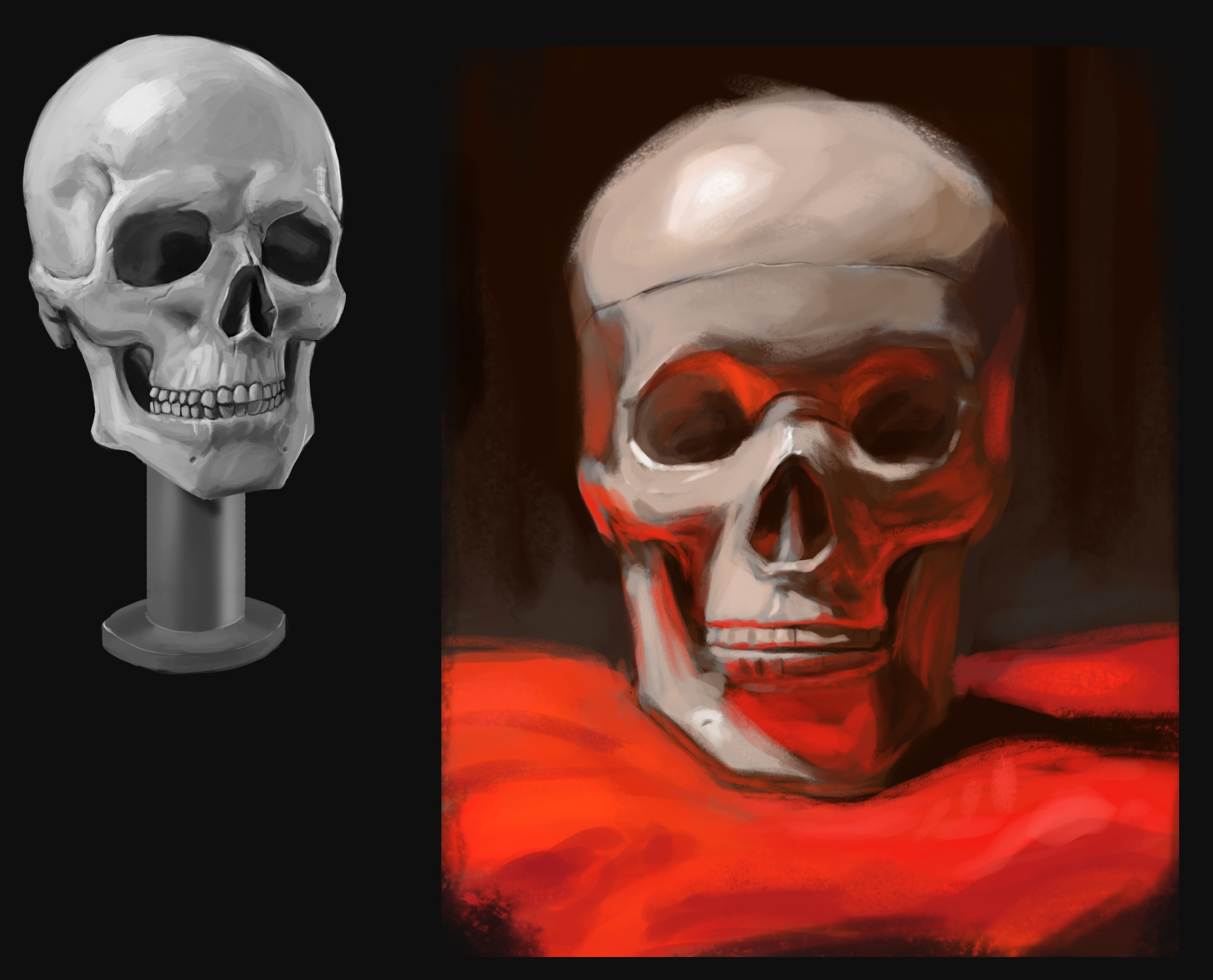 Skull Study