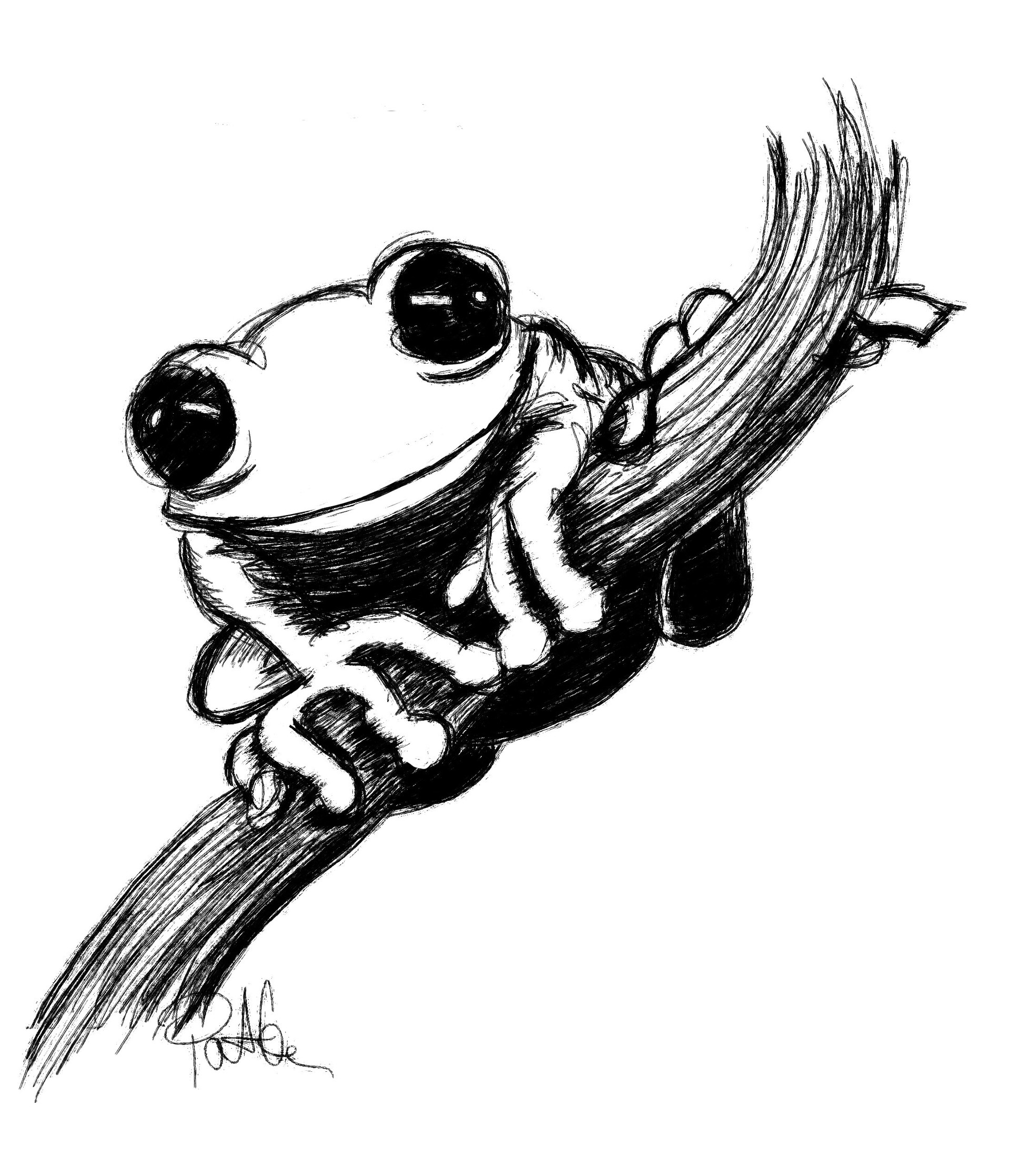 Drawing frog How To