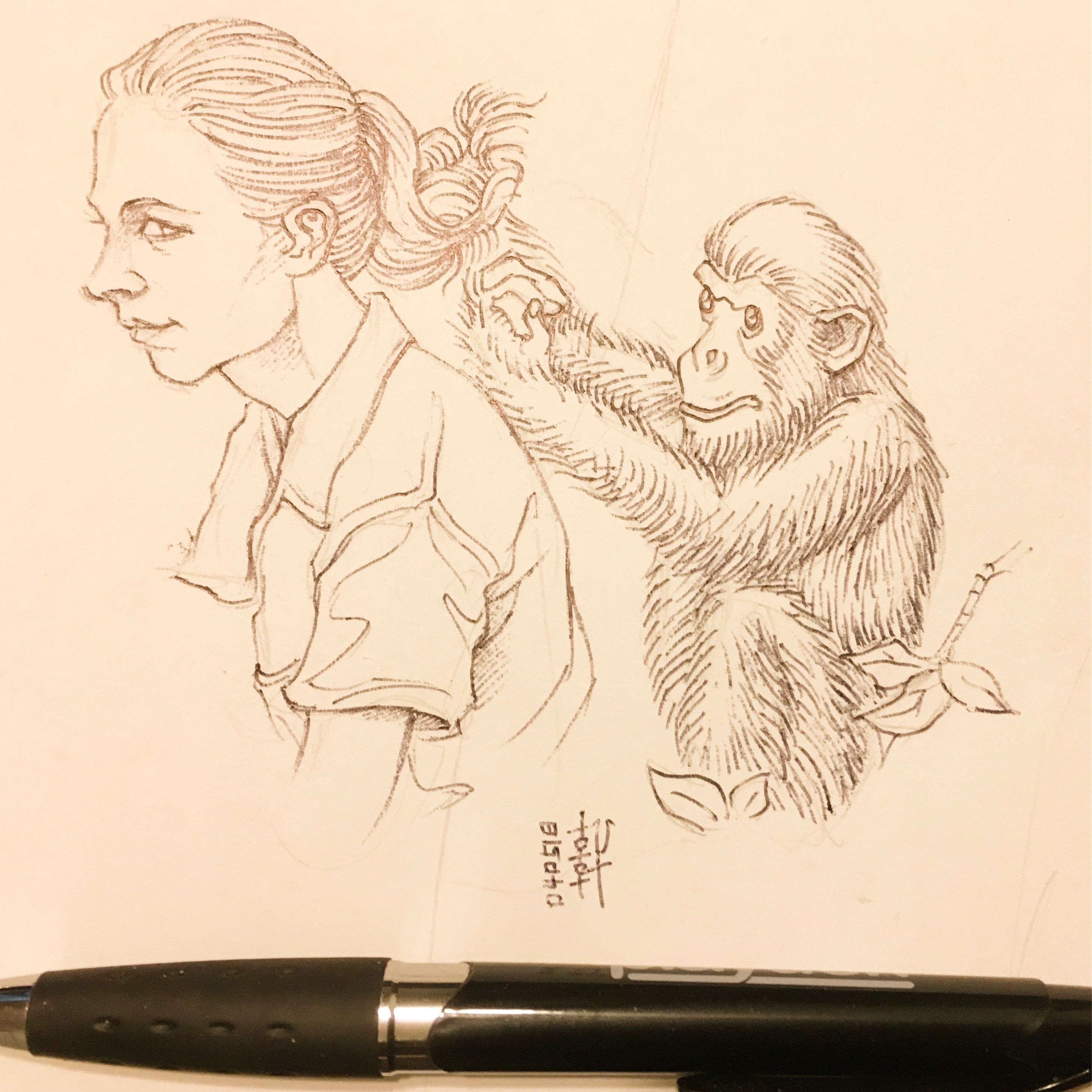 Day 04-05-18 - Jane Goodall
