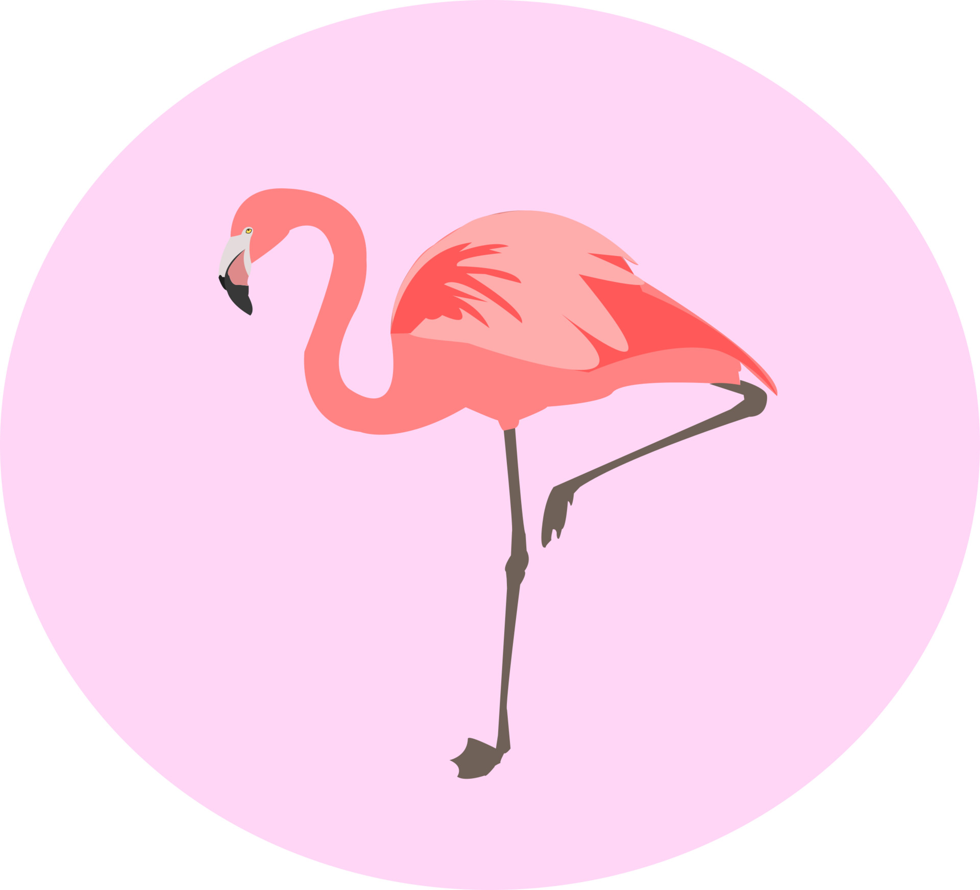 ArtStation - Vector Flamingo, Mateo Naidoo