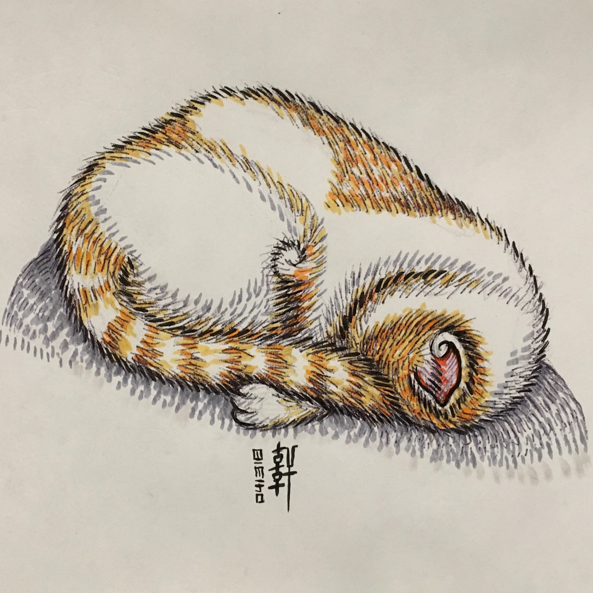 Day 04-13-18 - Napping Vi I