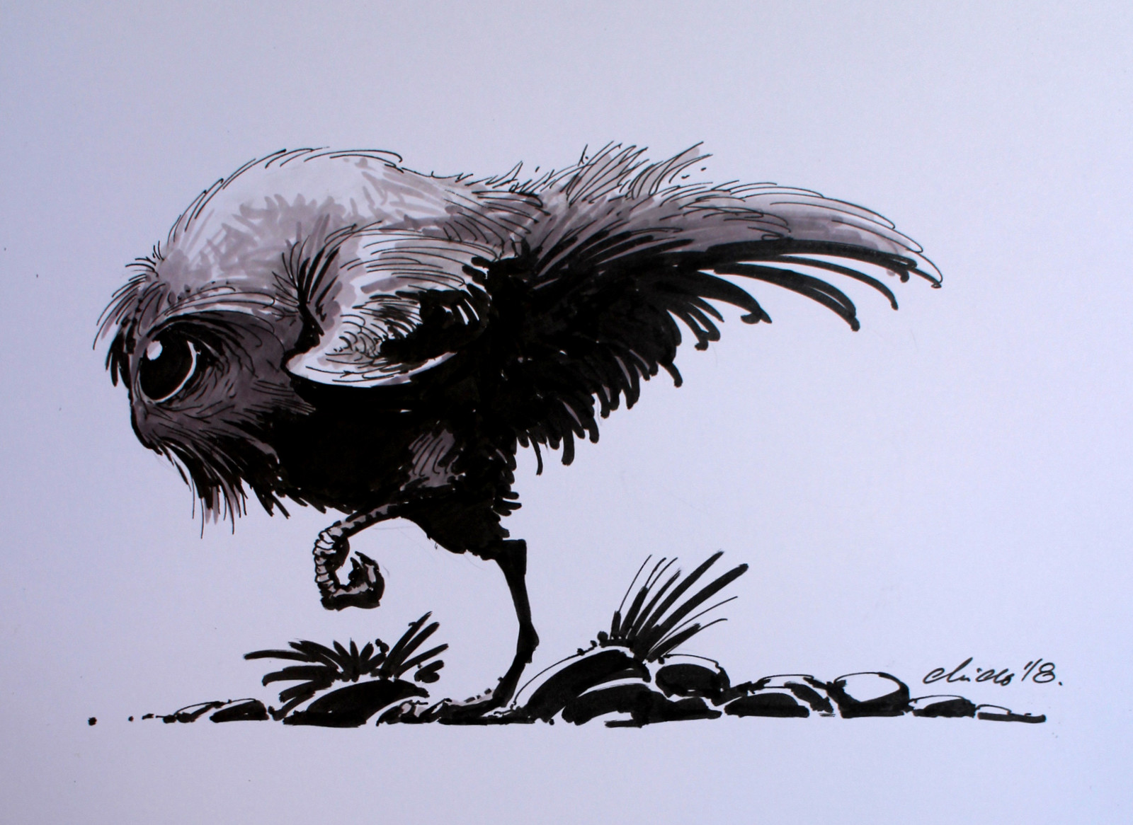 Tiny puffy bird creature