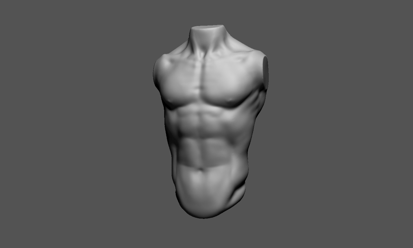 Find the perfect male torso anatomy stock photo. David Sousa - Anatomy male torso - Realistic vs Stylized