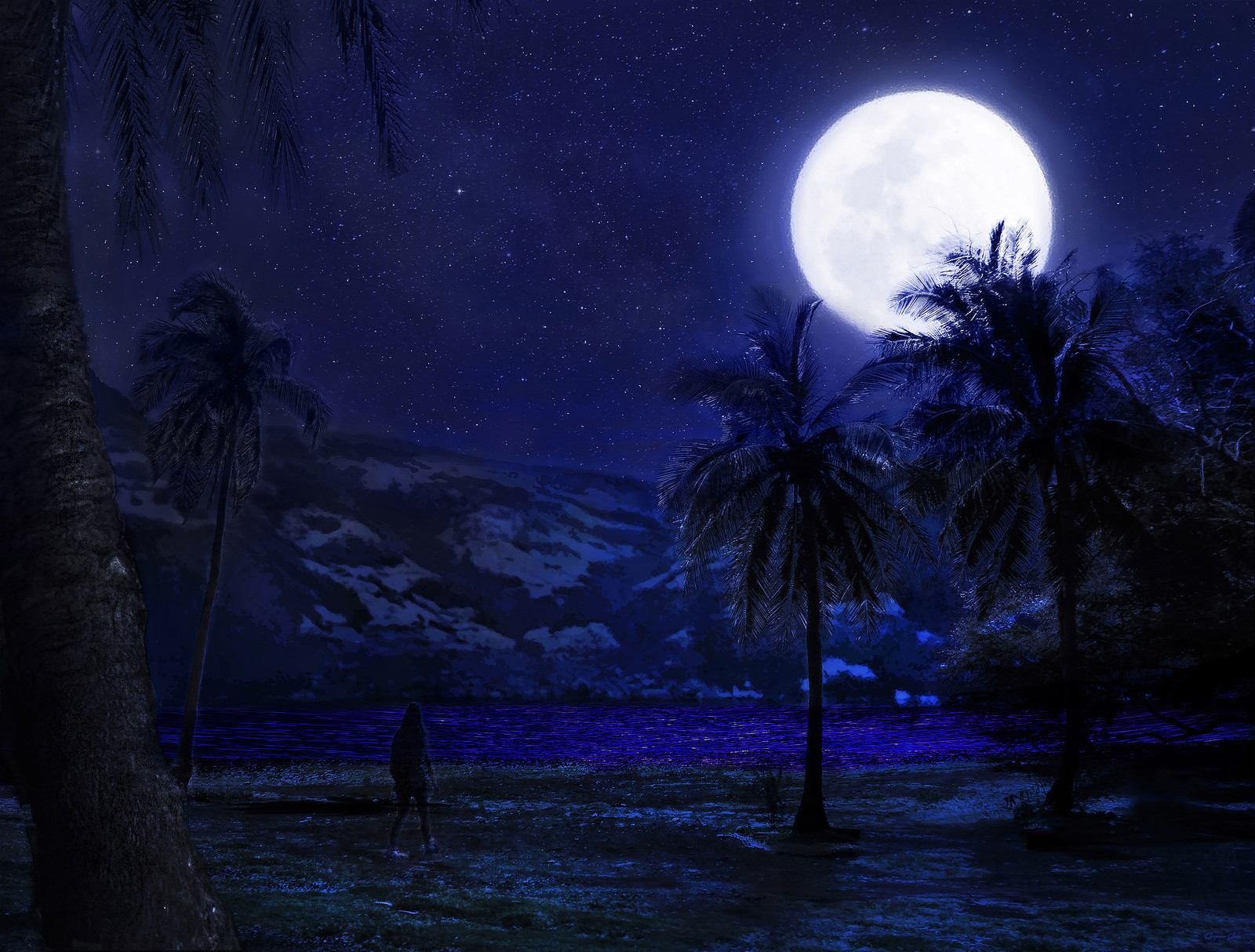 Artstation Night Landscape Concept Digital Matte Painting