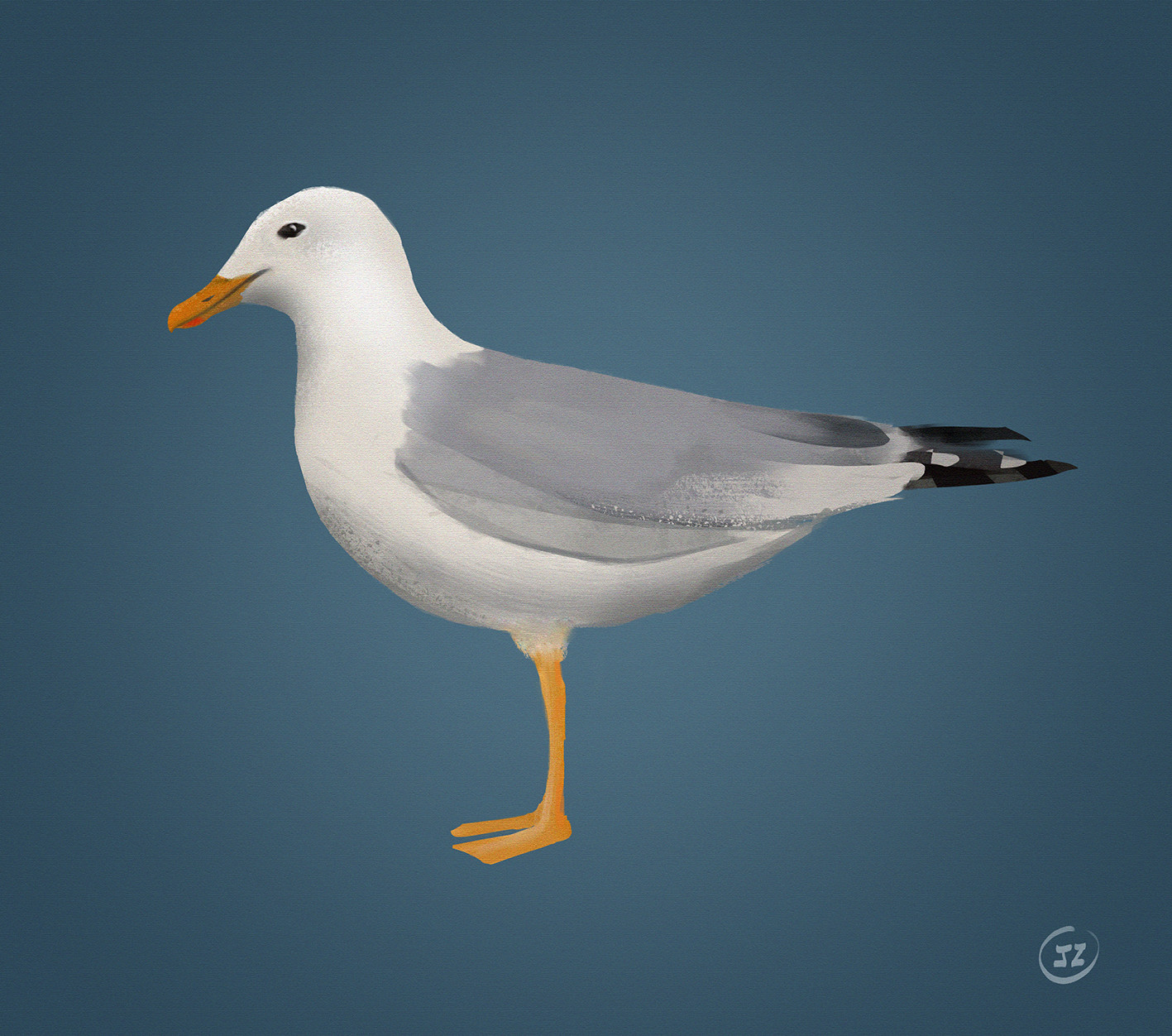 Seagull