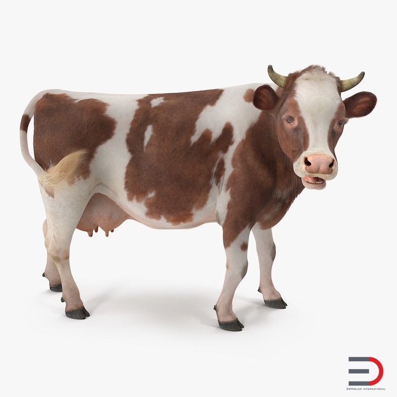 Artstation Rigged 3d Model Of A Cow With Fur Andrey Simonenko