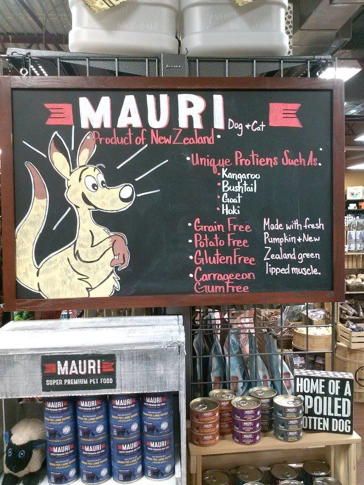 Artstation Chalkboards And Paitings Melissa Cole