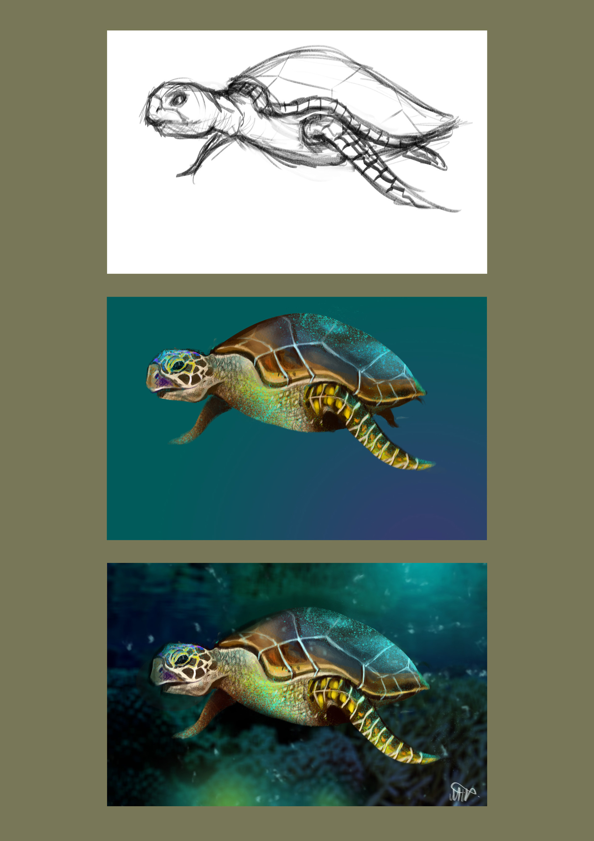 ArtStation - Sea turtle