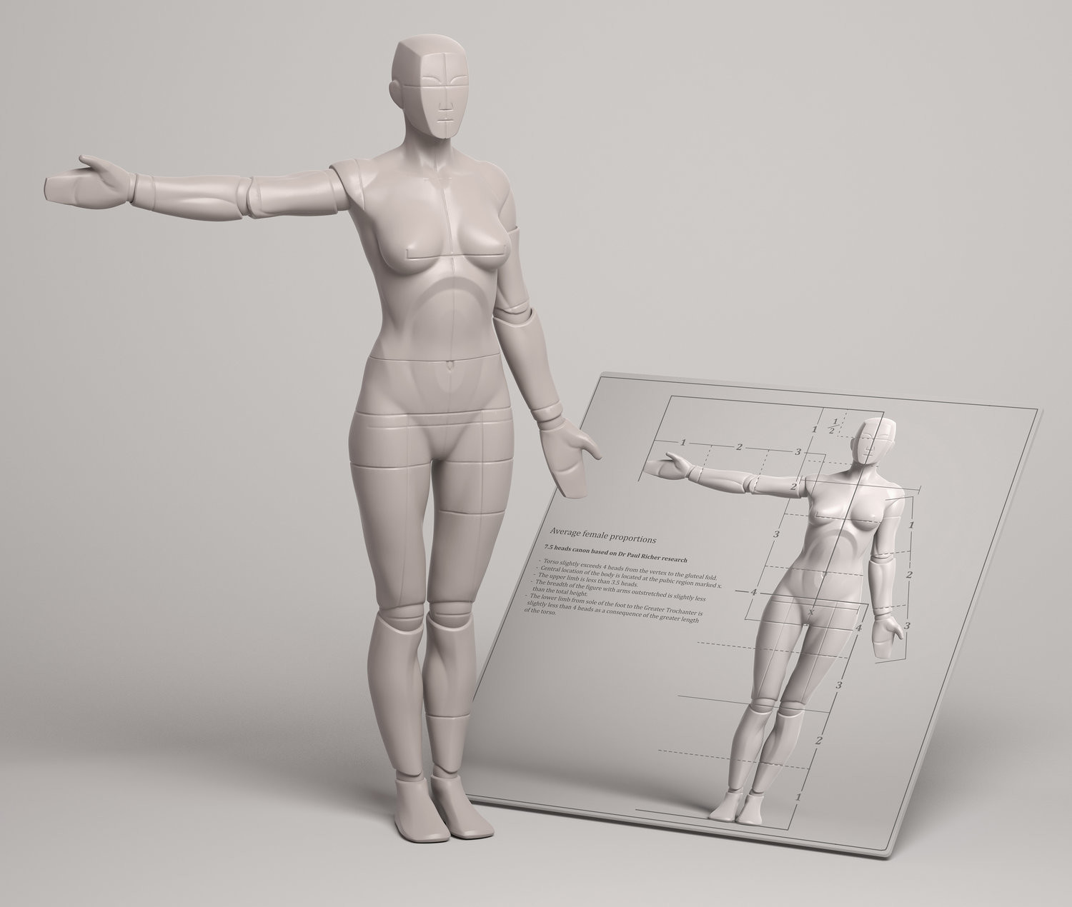 Body proportions sculpting and drawing reference.  Body proportion  drawing, Human figure drawing, Drawing body proportions