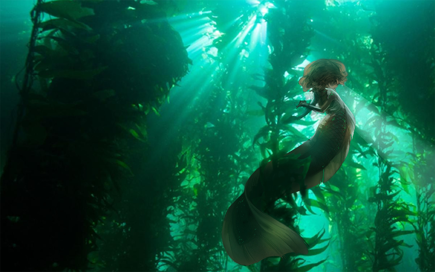 original photo from http://oceana.org/marine-life/marine-science-and-ecosystems/kelp-forest