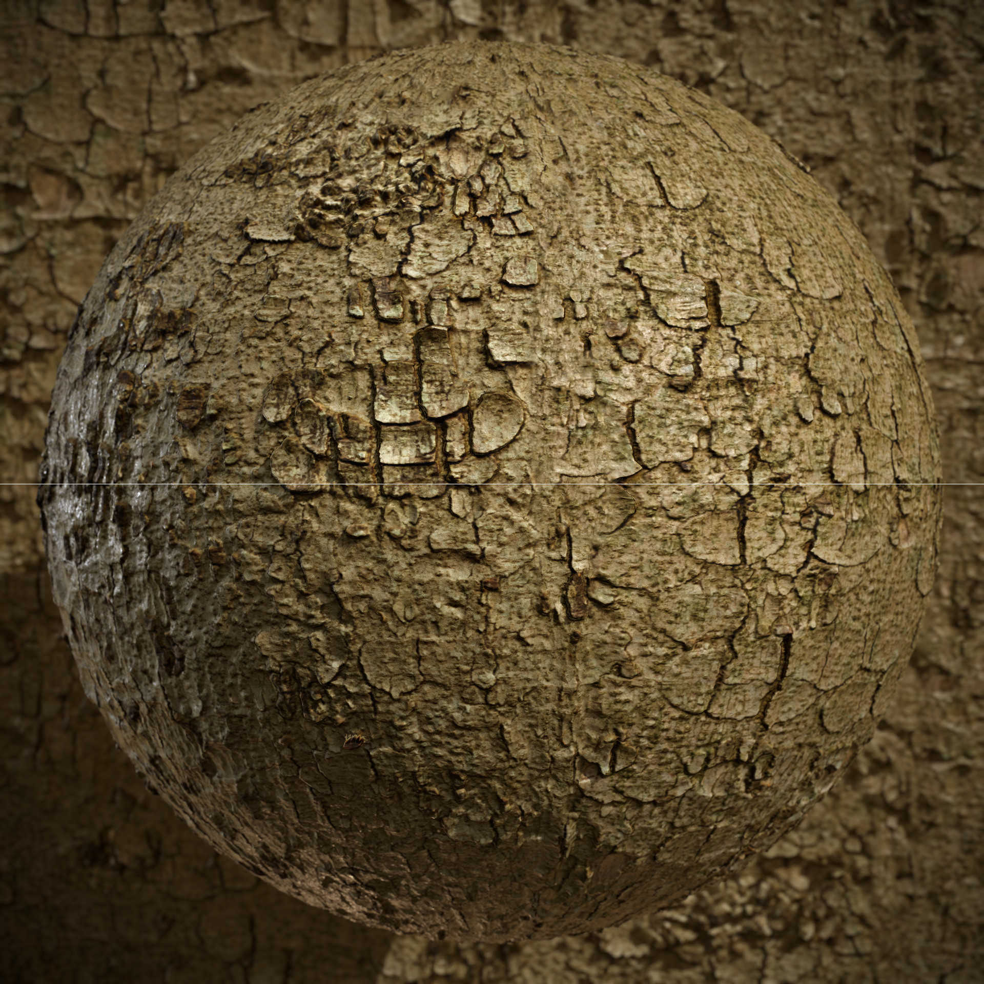 ArtStation - Tree Bark - Photogrammetry based Tile Texture