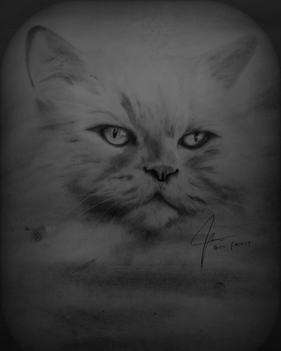 Ibnu Fachry Cat Pencil Sketch