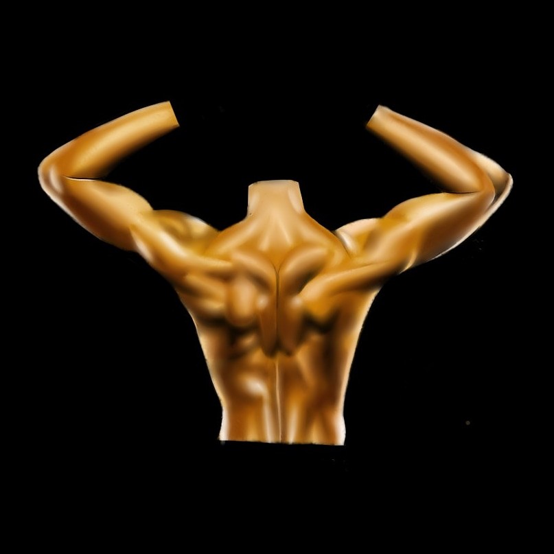 ArtStation - Women Back Muscles