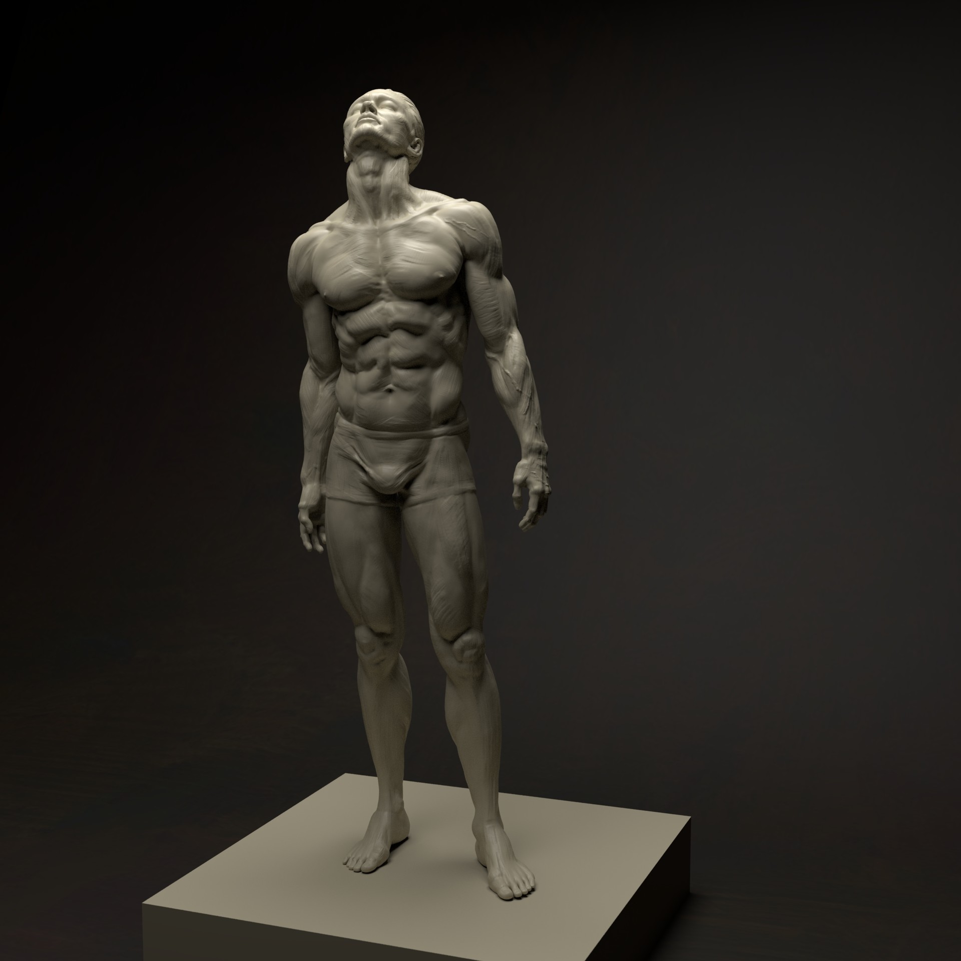 anatomically correct action figure
