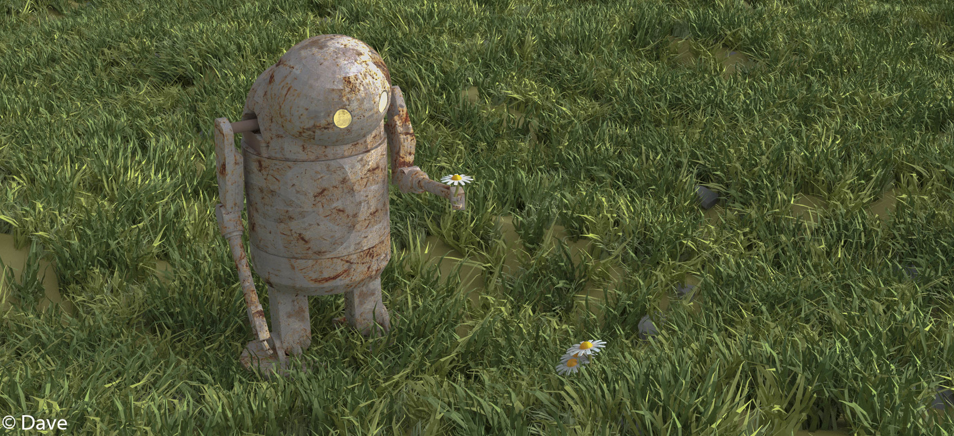 Davide Di Trocchio Small Stubby With A Daisy Rewarded by emil for completing emil's memories. davide di trocchio