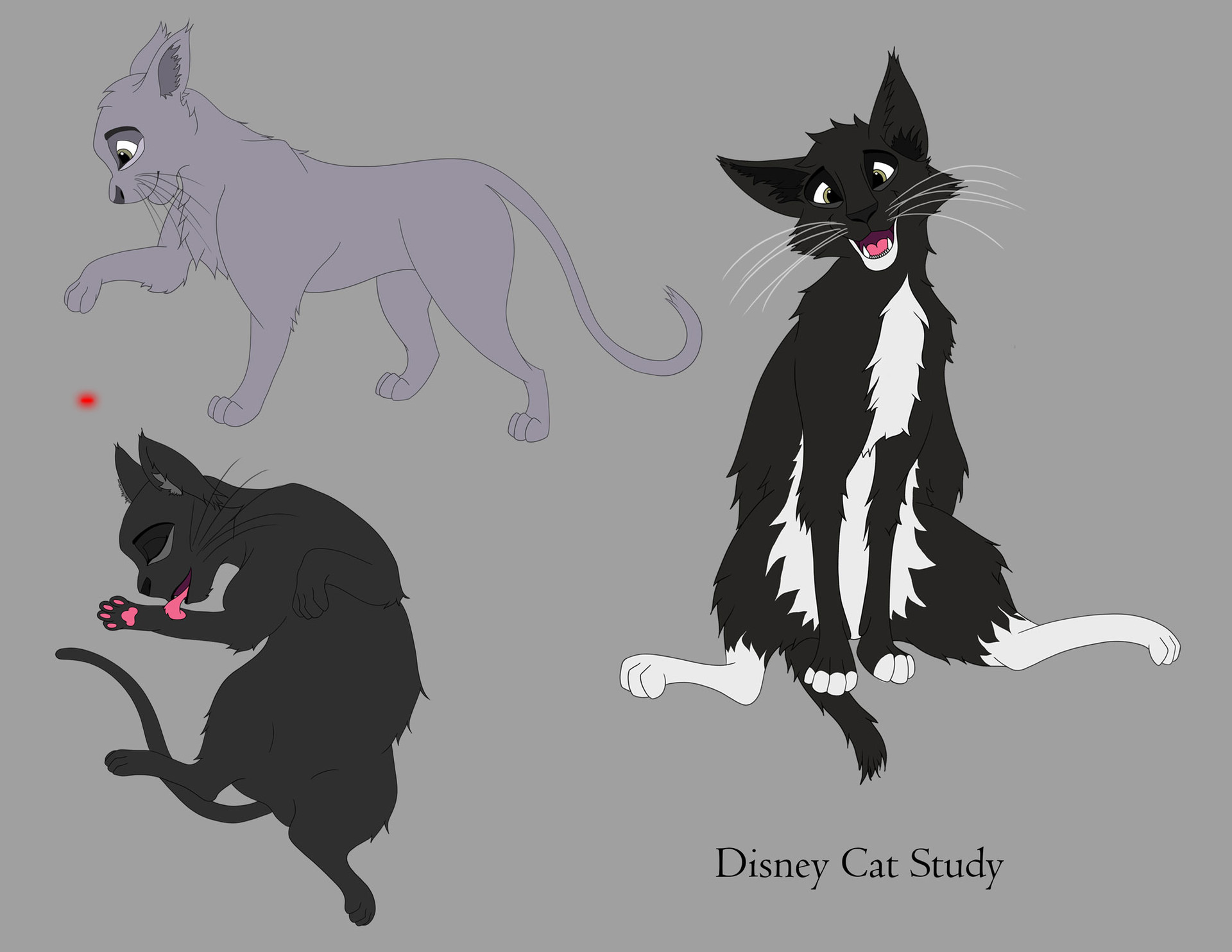 ArtStation - Disney Cat Study