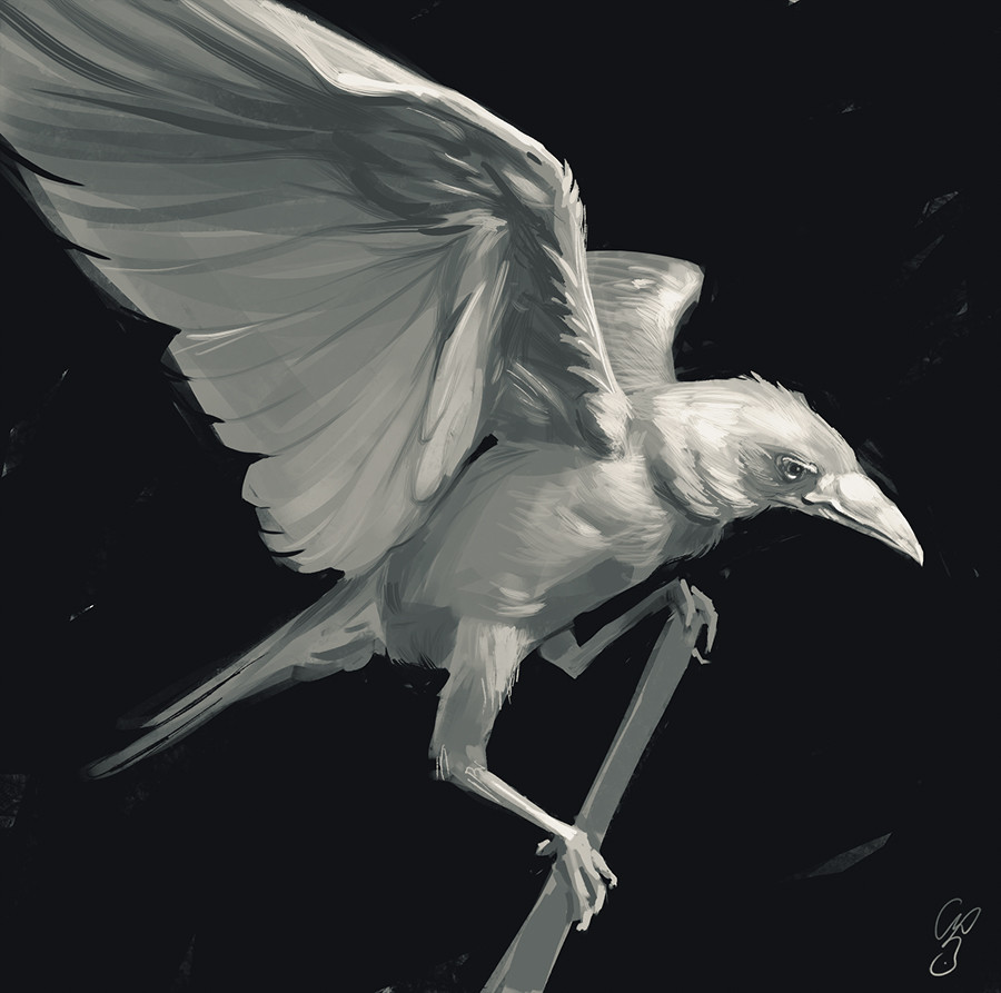 ArtStation - white crow