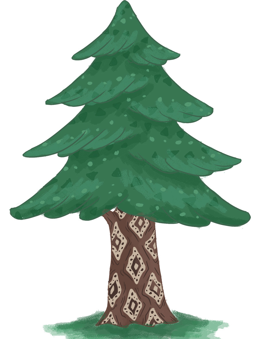 Fir Tree Reference