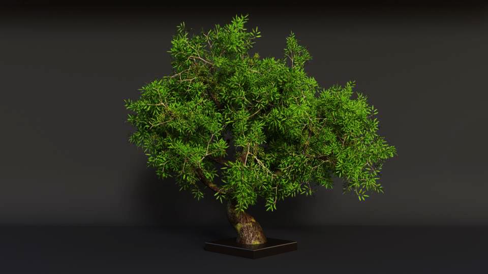 Subhash S Simon Little Tree