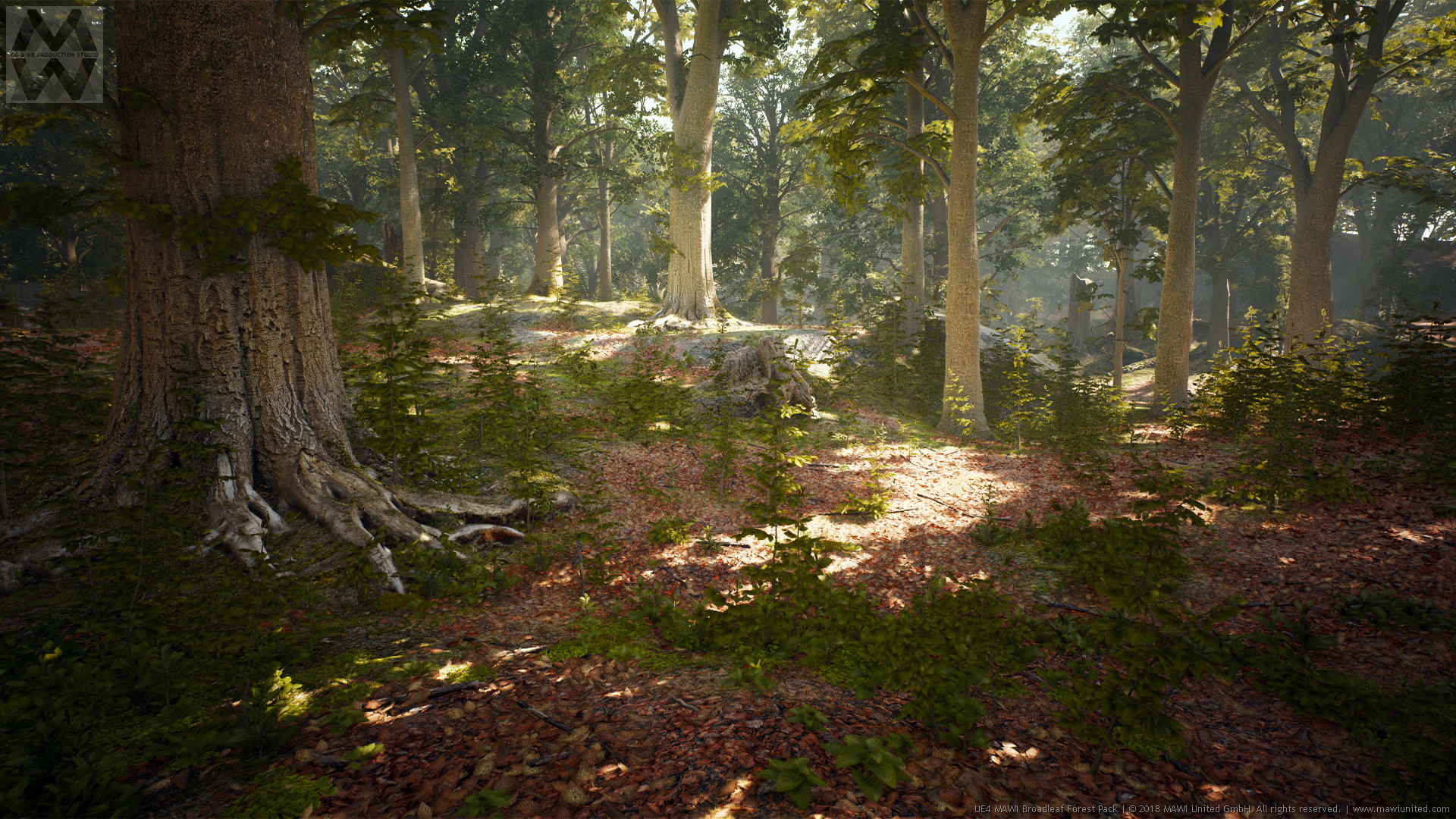 Лес 5. Unreal engine 5 лес. Лес 3d Unreal engine. Unreal engine 4 Forest procedural. Broadleaf Forest.