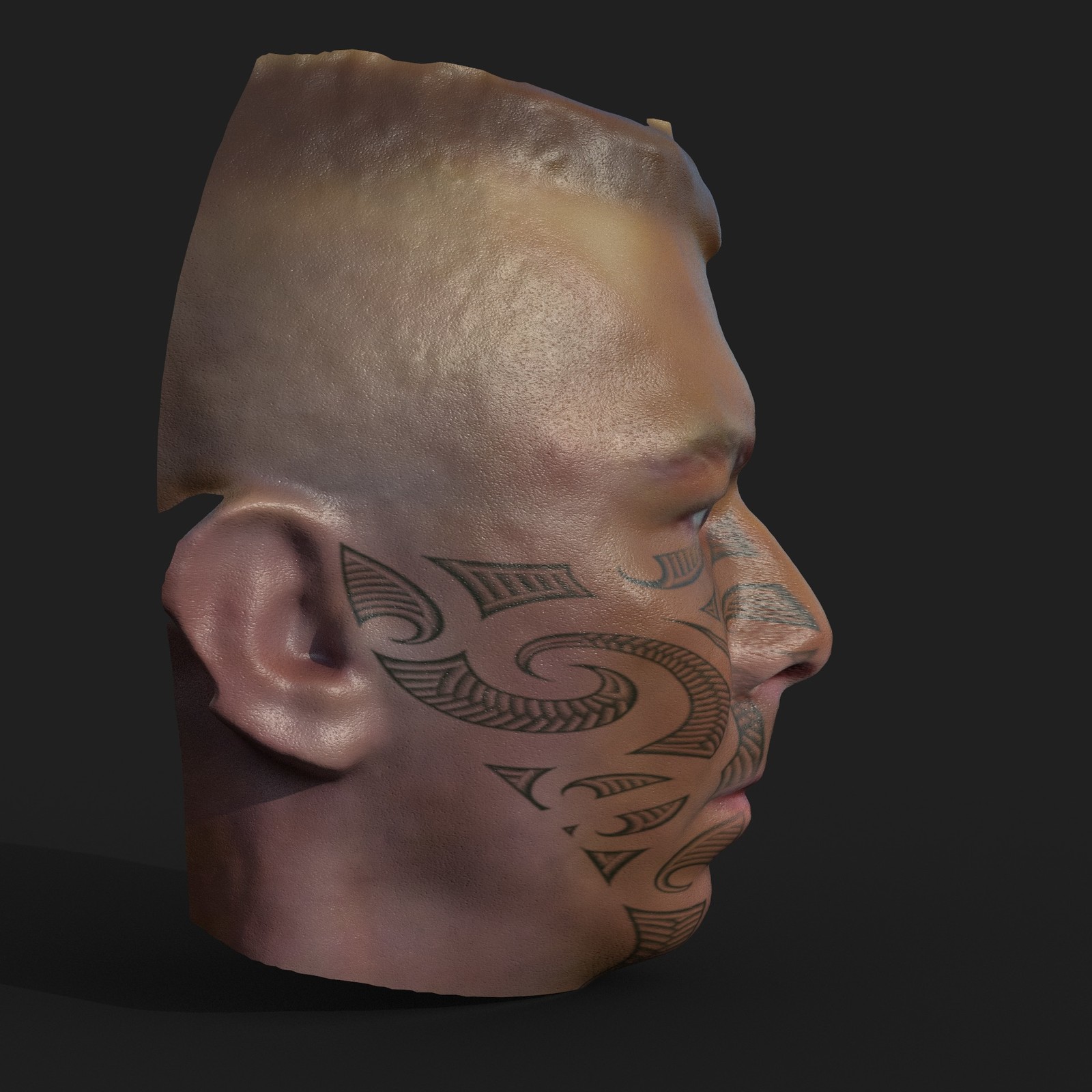 3D Portrait - Side View