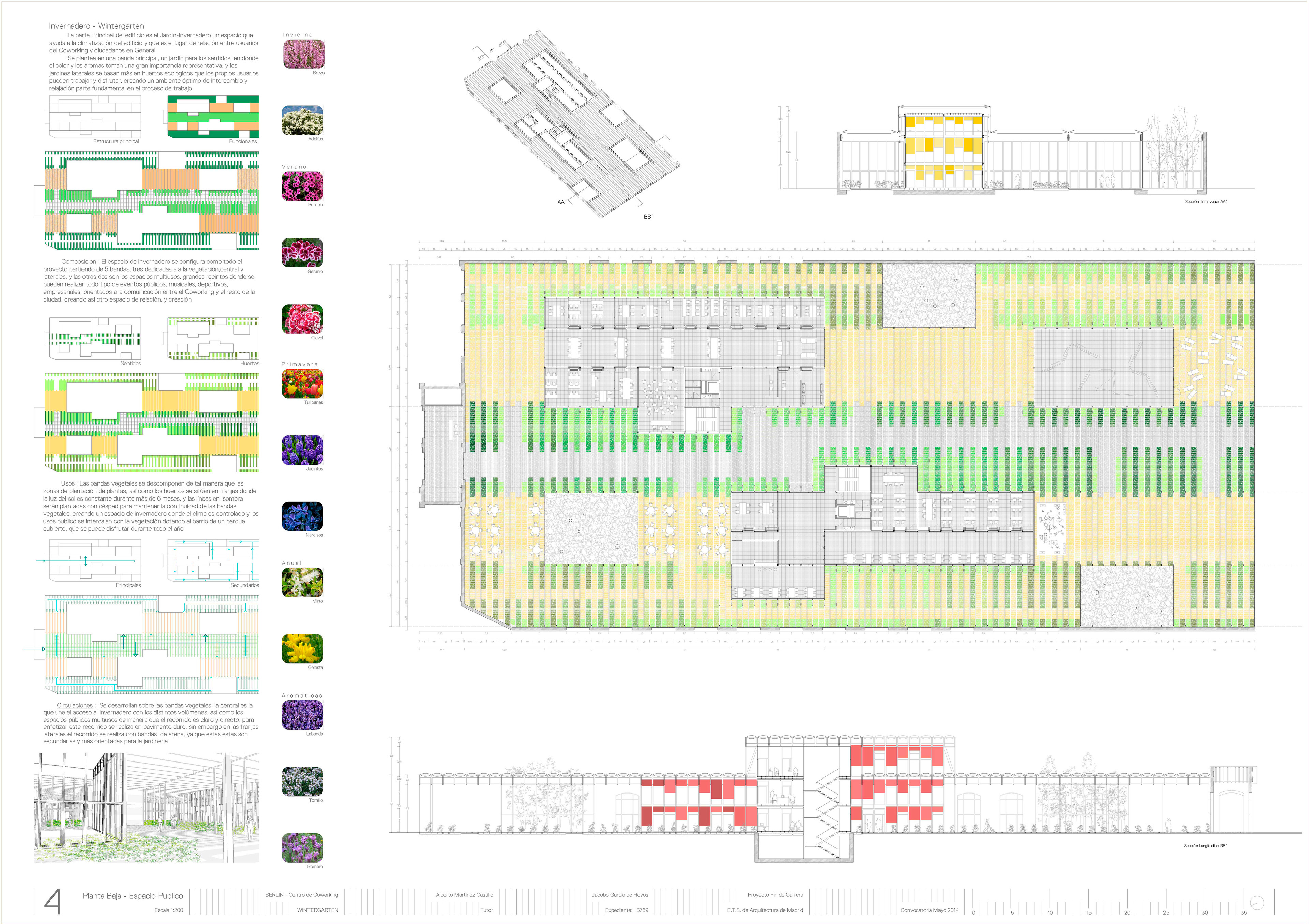 Jacobo Garcia de Hoyos Final Degree Project 2014 Page 4 - Garden