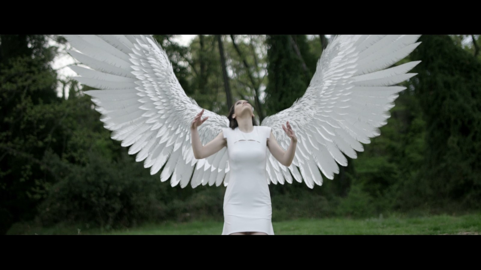 Дайте мне белые крылья. Белые крылья клипы. Дайте мне белые крвль я. Белые крылья клипы. Белые крылья ободзинский.
