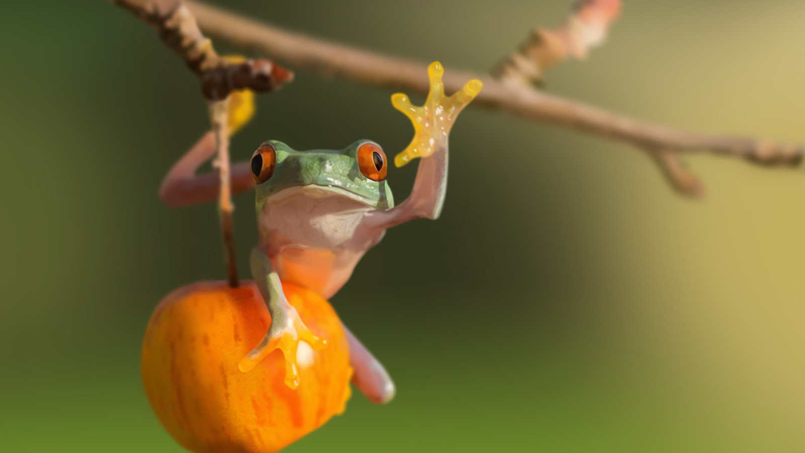 Frog Vector Paint