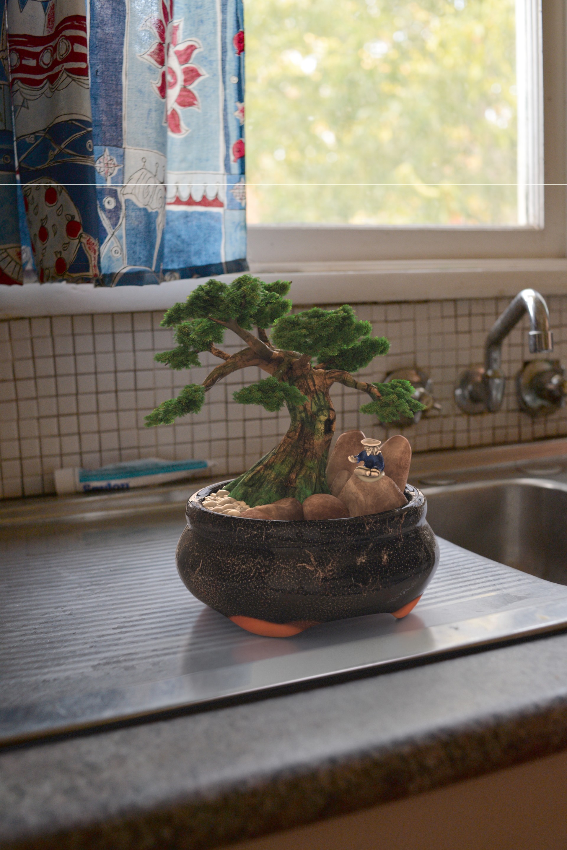 Stuart Wright Bonsai Tree