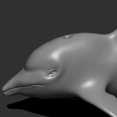 Dolphin clay render done in ZbrushCore