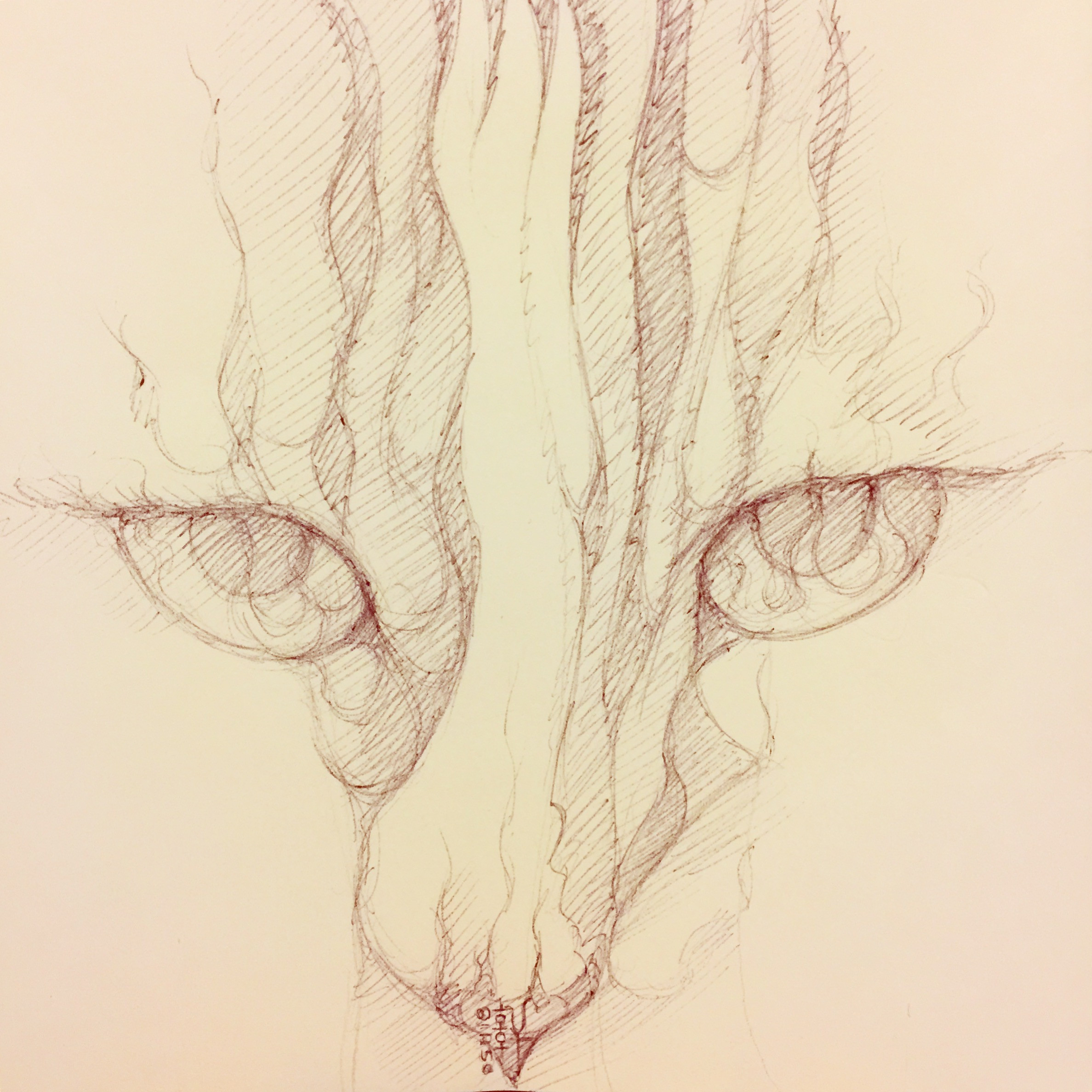Day 05-11-18 - Fiery Vi