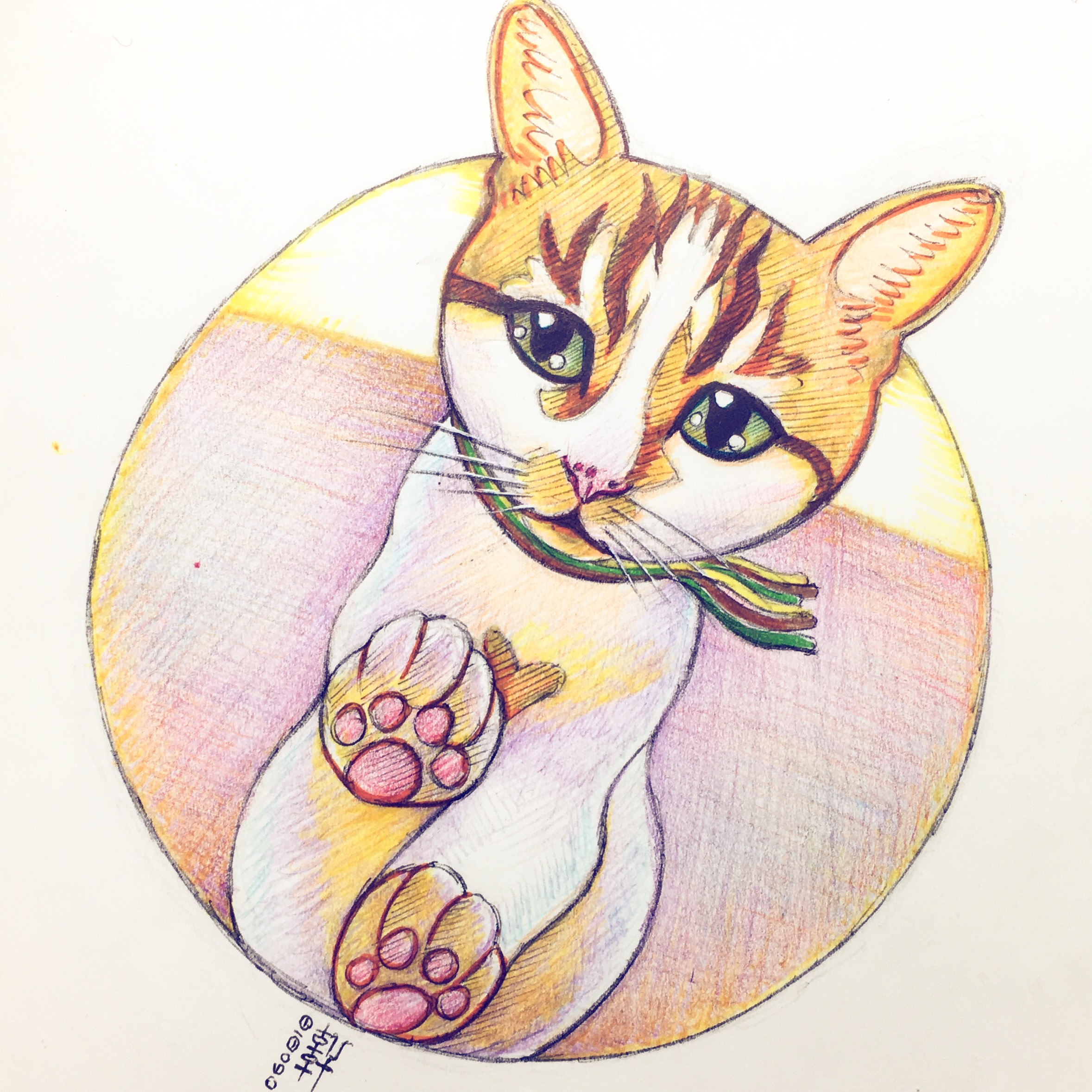 Day 06-08-18 - I Missed U Cat