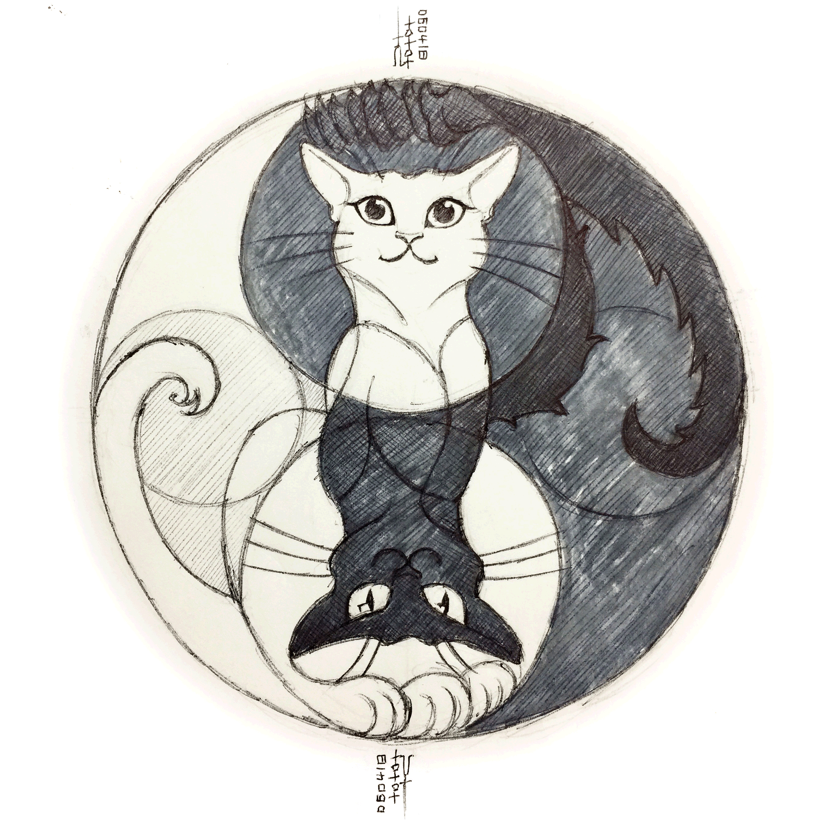 Day 06-04-18 - White Cat, Black Cat