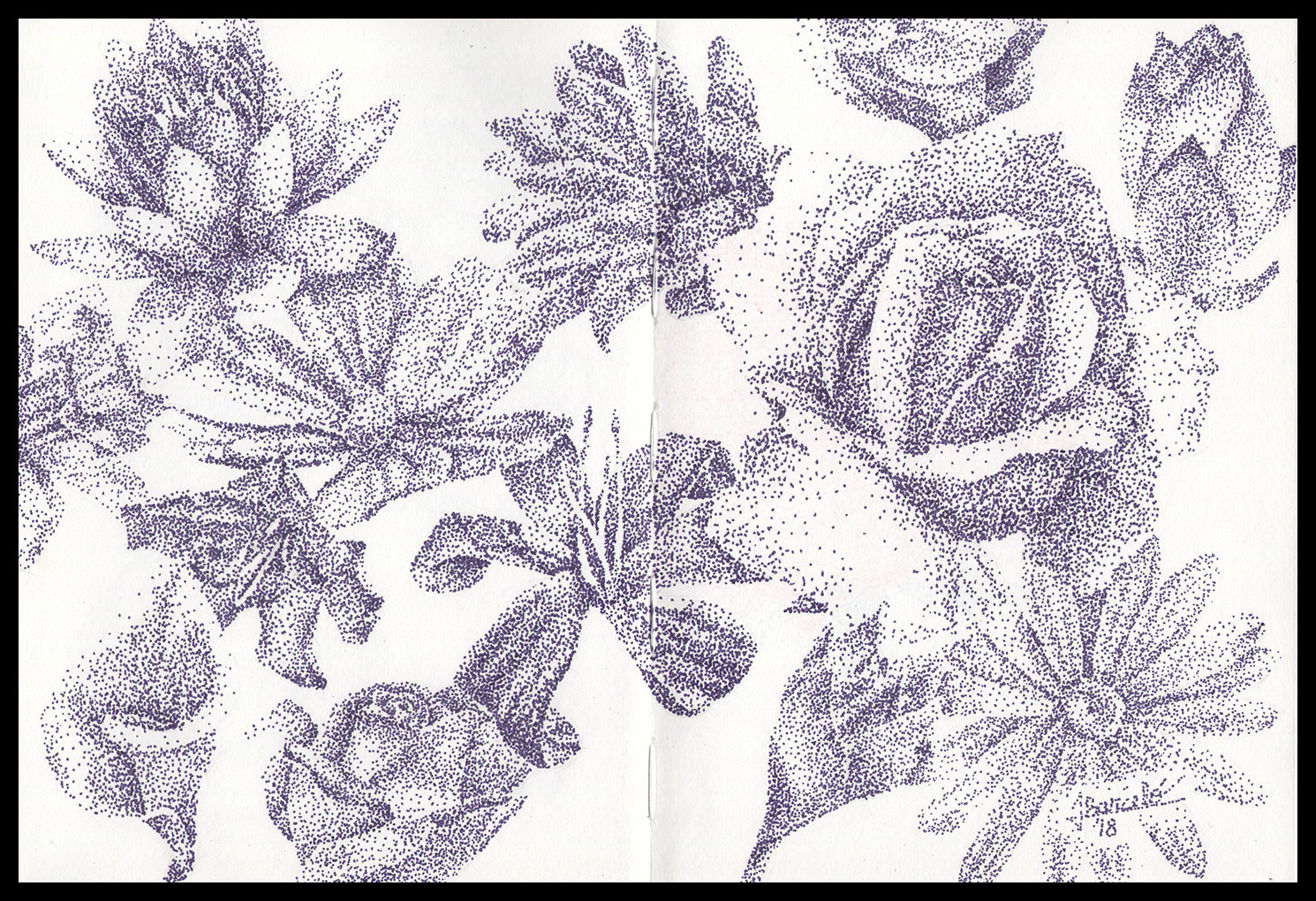 Flower study using pointillism.