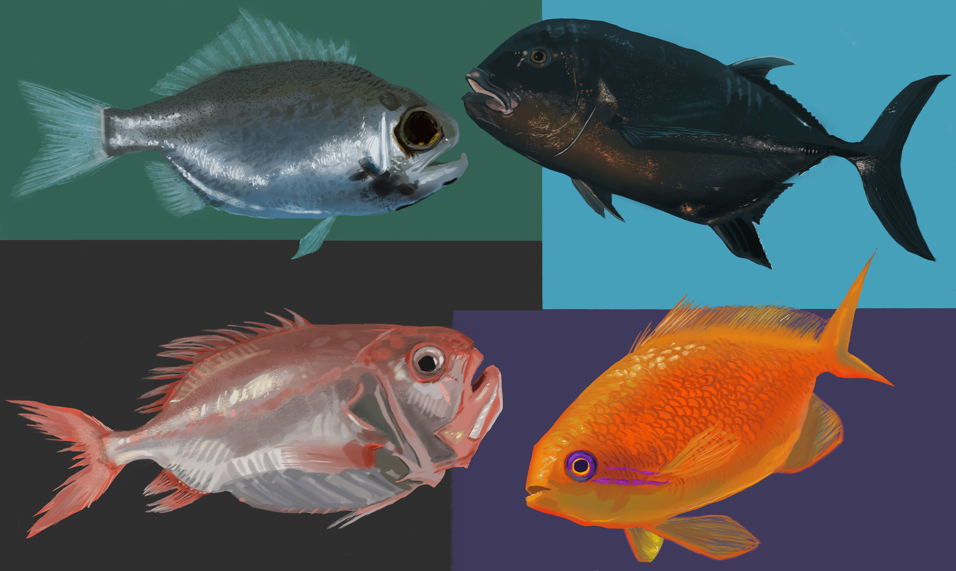 ArtStation - Fish studies
