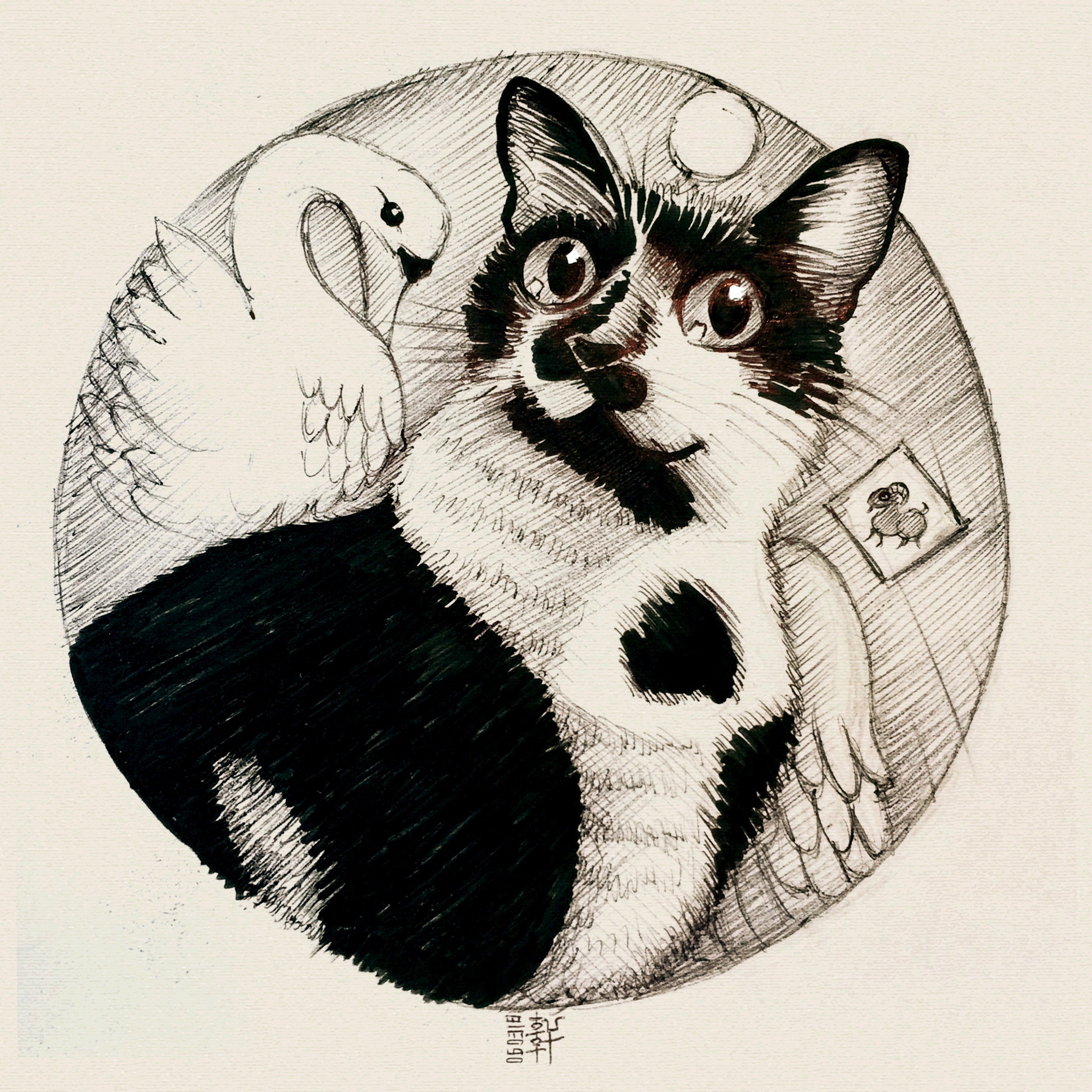 Day 06-03-18 - Lao-Meow