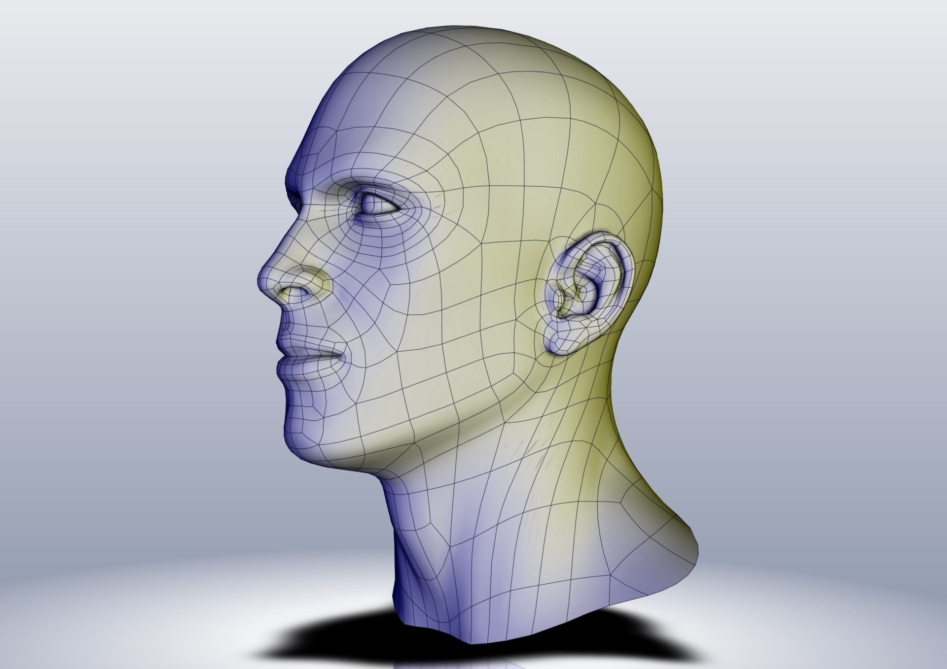 Создание 3д людей. Моделирование головы. Макет головы. 3d модель головы. Топология головы.