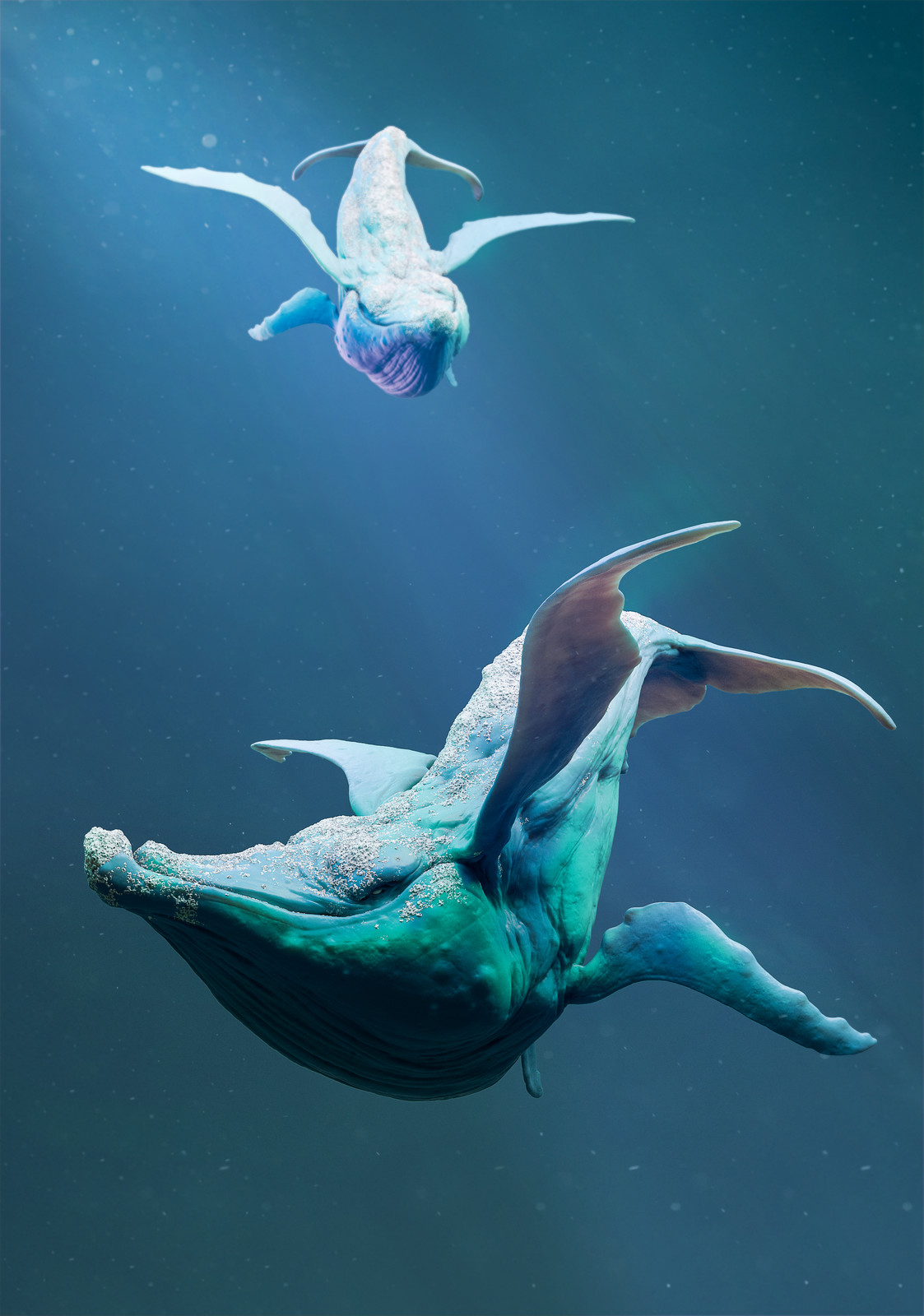 WhaleWhaleWhale
