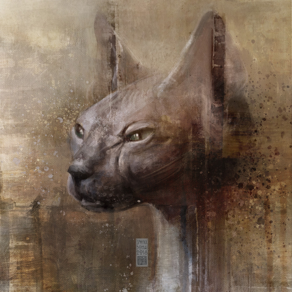 "Sphinx"