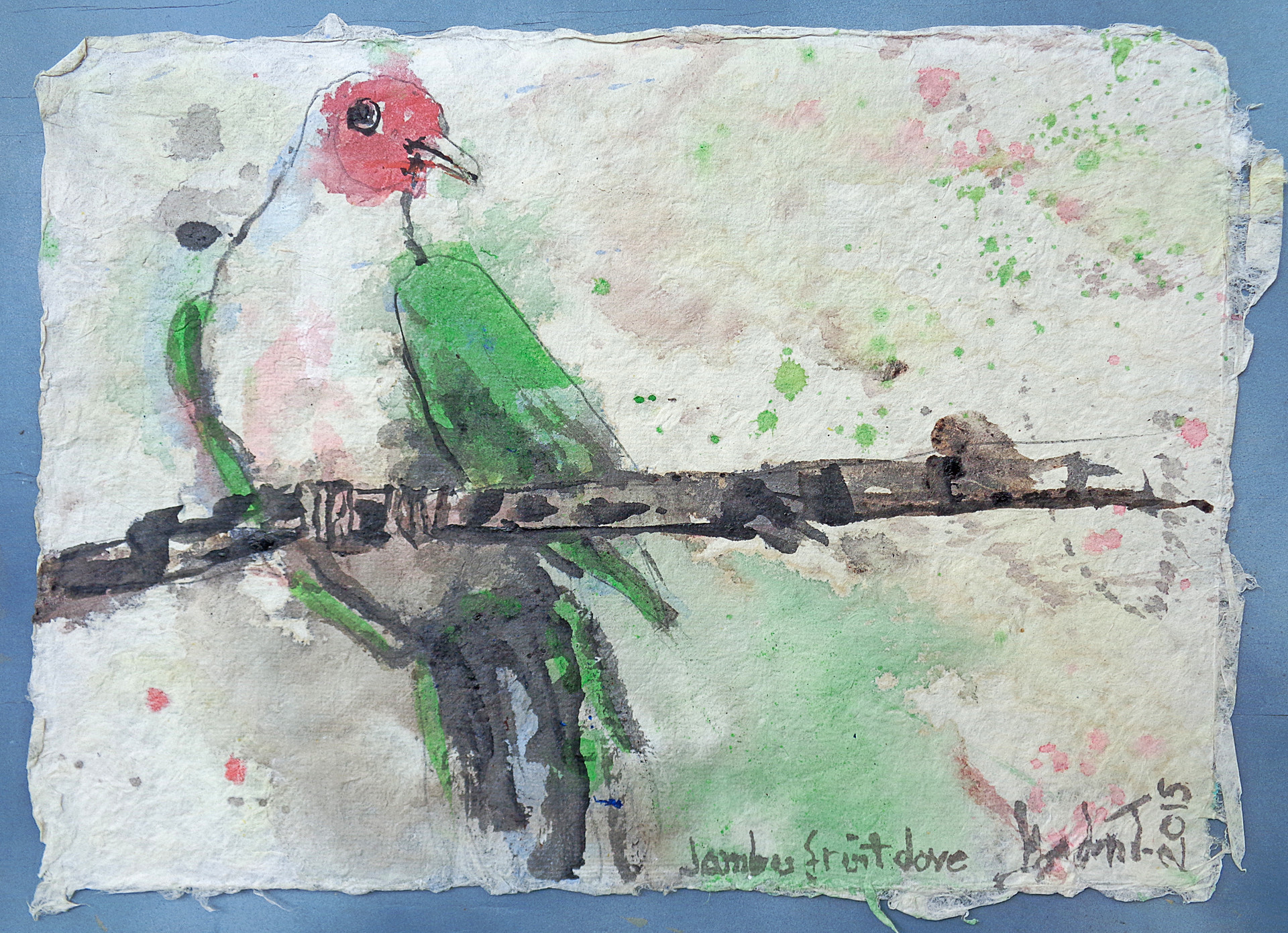 Artstation Jambu Fruit Dove Gordon Tardio