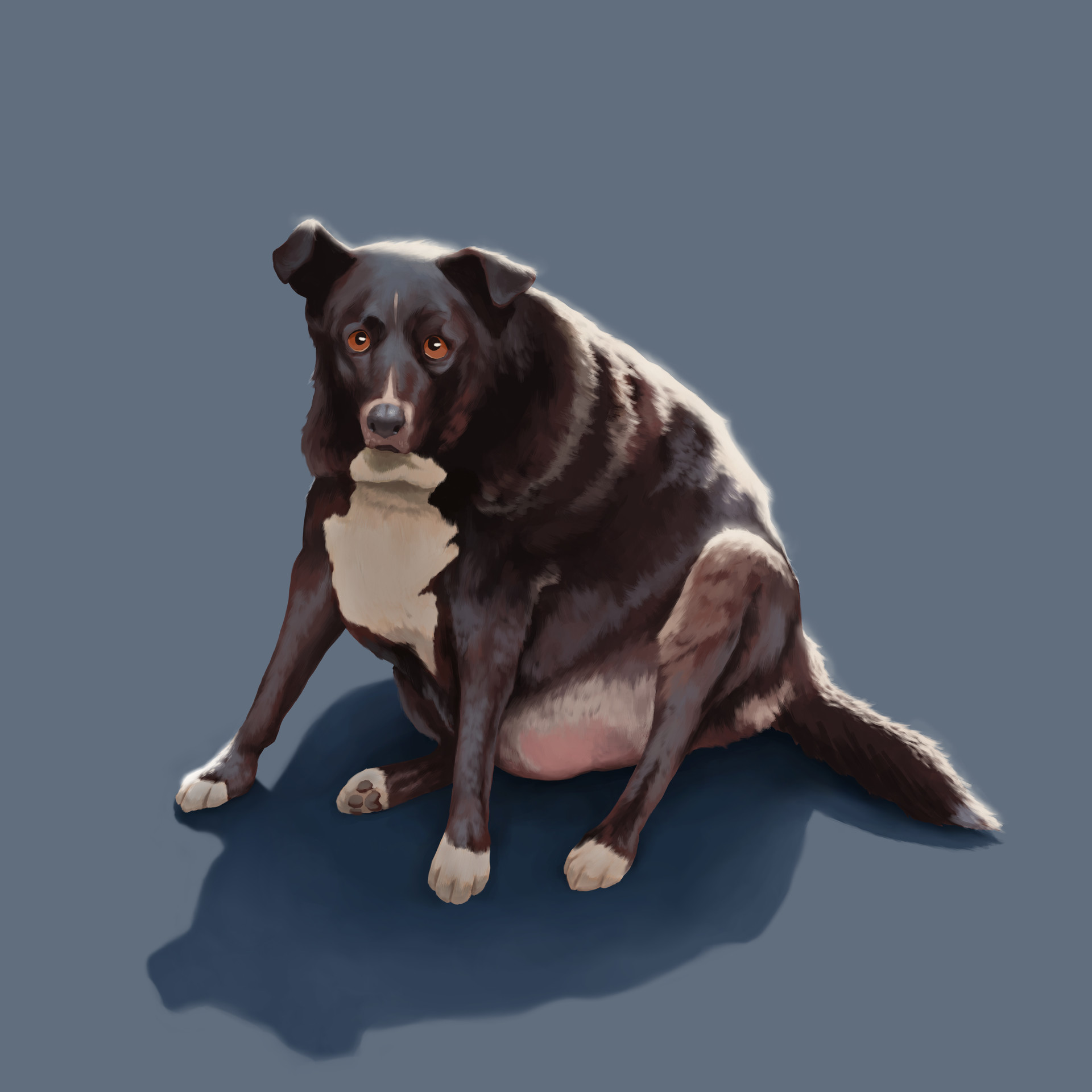 Sasha Yevseyev Fat Dog