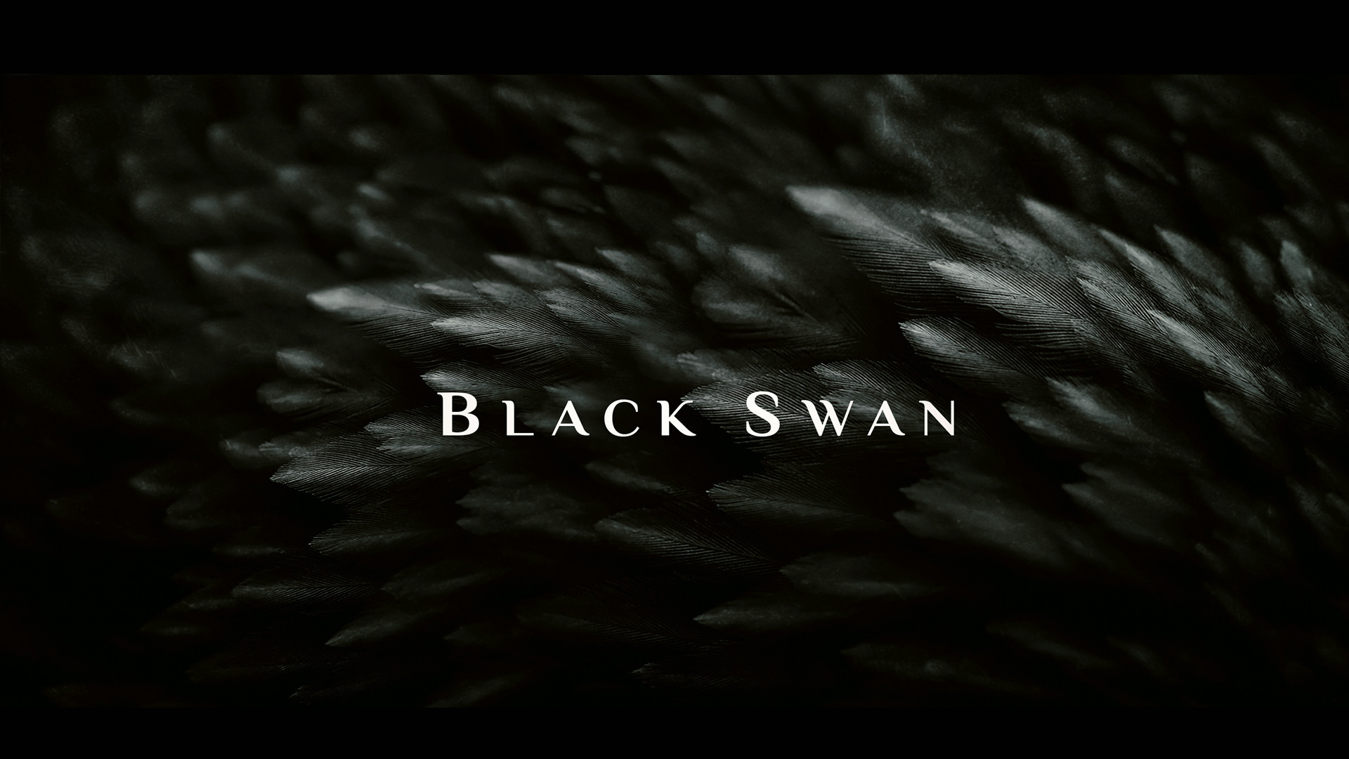 hjælper Afhængighed Mindre ArtStation - Black Swan Title Sequence, Kelly Lim