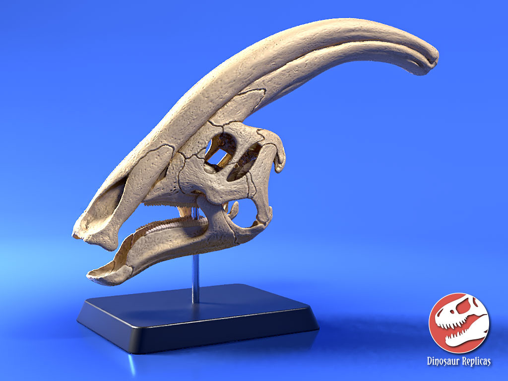 3d printed dinosaur skull