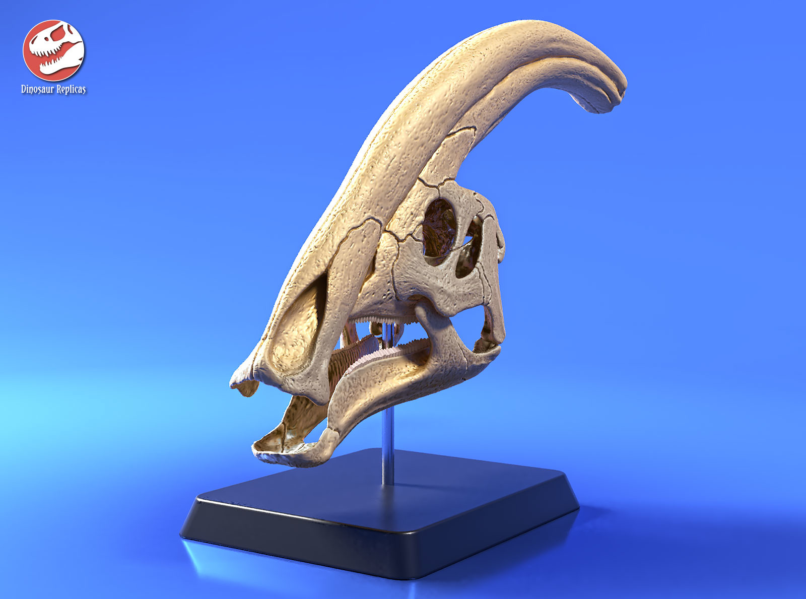 3d printed dinosaur skull