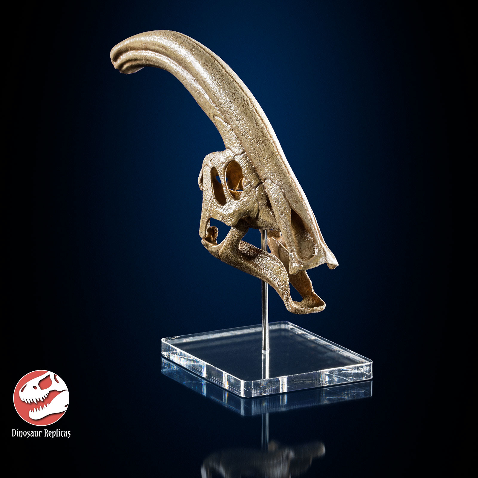 3d printed dinosaur skull