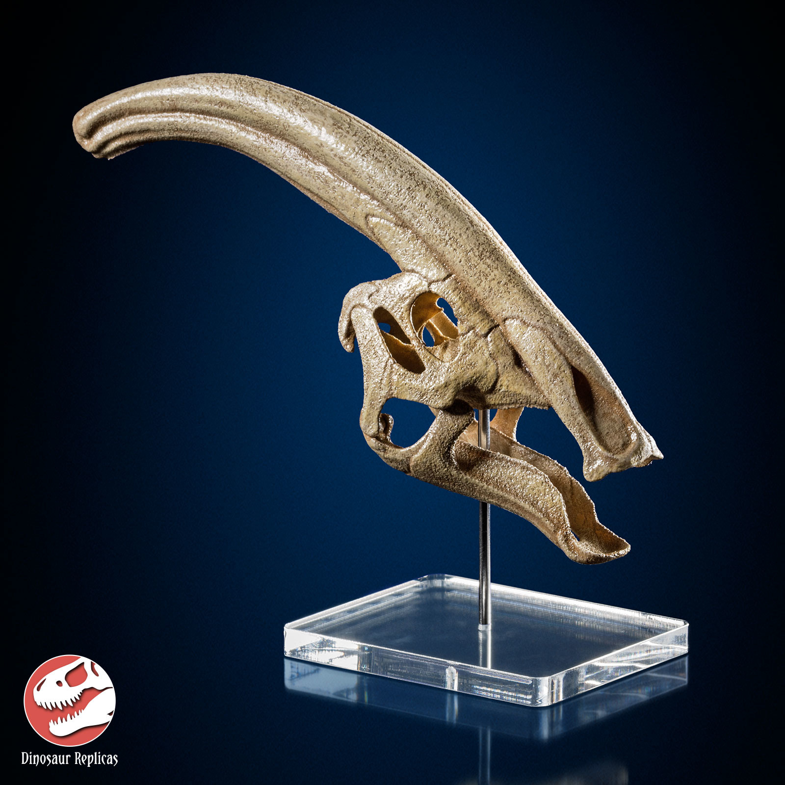 3d printed dinosaur skull